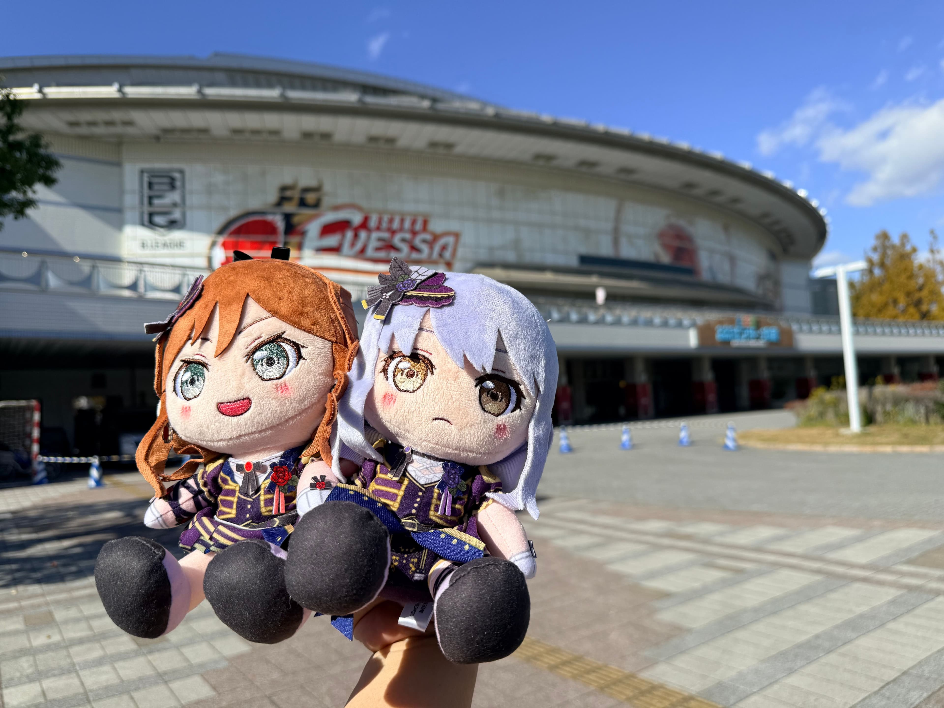 IMG_6858.jpeg