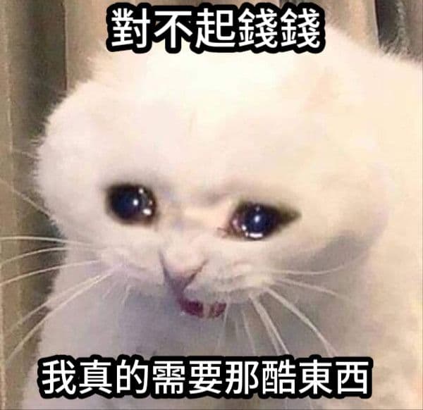 [開箱] PNY XLR8 GeForce RTX4090 UPRISING 圖片 3