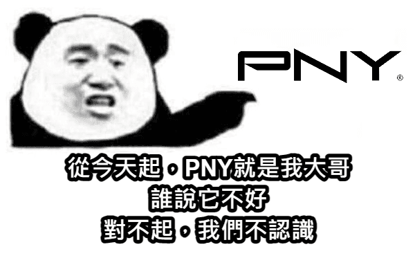 [開箱] PNY XLR8 GeForce RTX4090 UPRISING 圖片 24